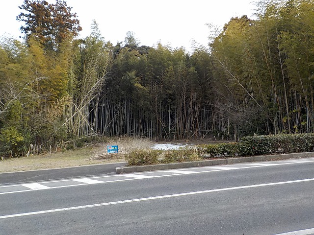 岬町岬　売土地