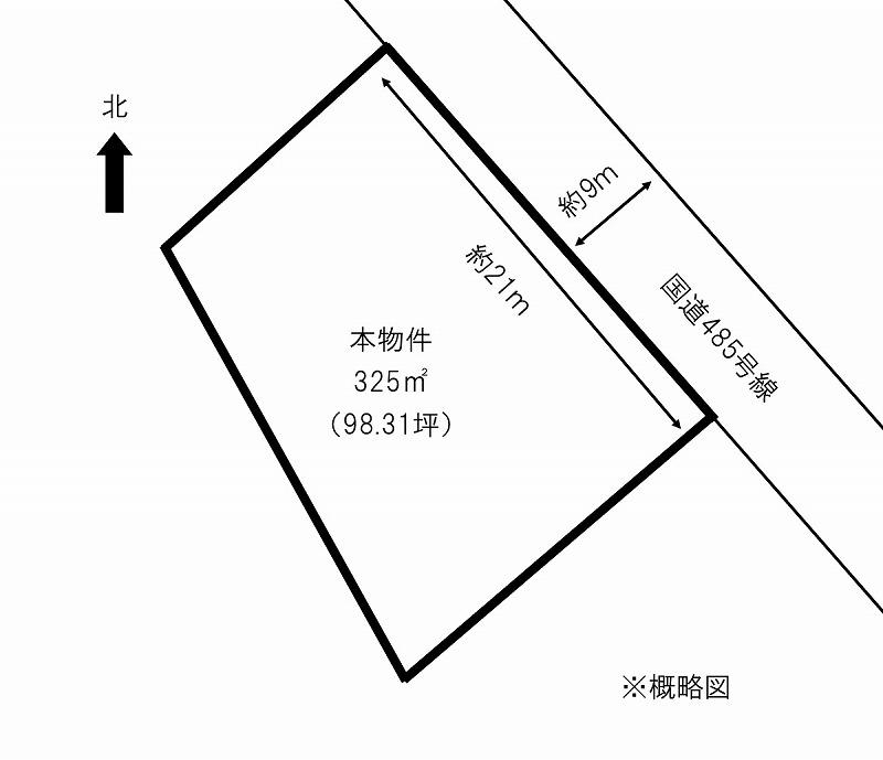 概略図